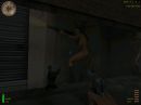 Zufallsbild